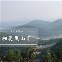 河南黑山羊基地在哪里  黑山羊种羊基地