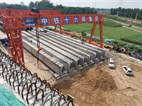 广西南宁龙门吊出租钢筋棚用5吨龙门吊