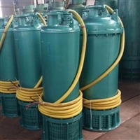 BQS40-80-22/N矿用隔爆型潜水排沙电泵 22KW防爆电泵排污耐用