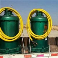 隔爆排沙潜水泵 双层壳体BQS50-120/2-45/N矿用隔爆排沙潜水泵