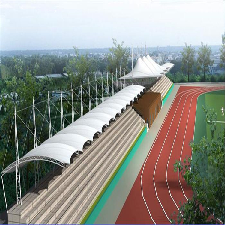 看台景观膜结构适用于学校操场看台