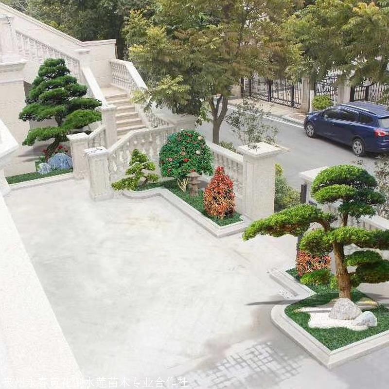 莆田绿化公司 景观绿化公司 私家庭院园林绿化设计公司