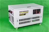 双电源等功率20kw汽油发电机