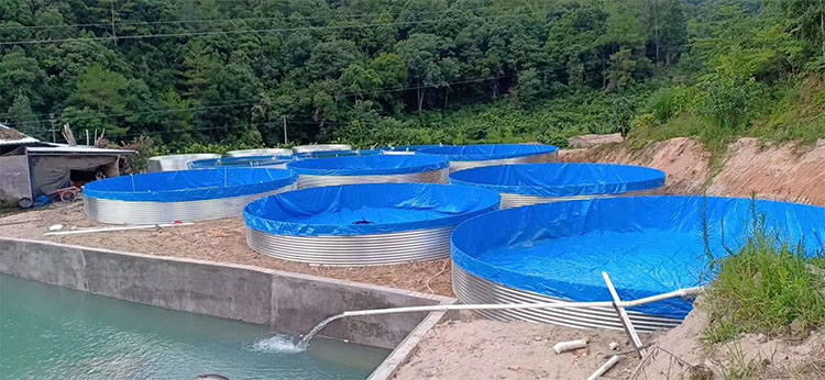 養魚養蝦帆布水池新型鍍鋅板水產水蛭養殖魚池帆布蓄水池