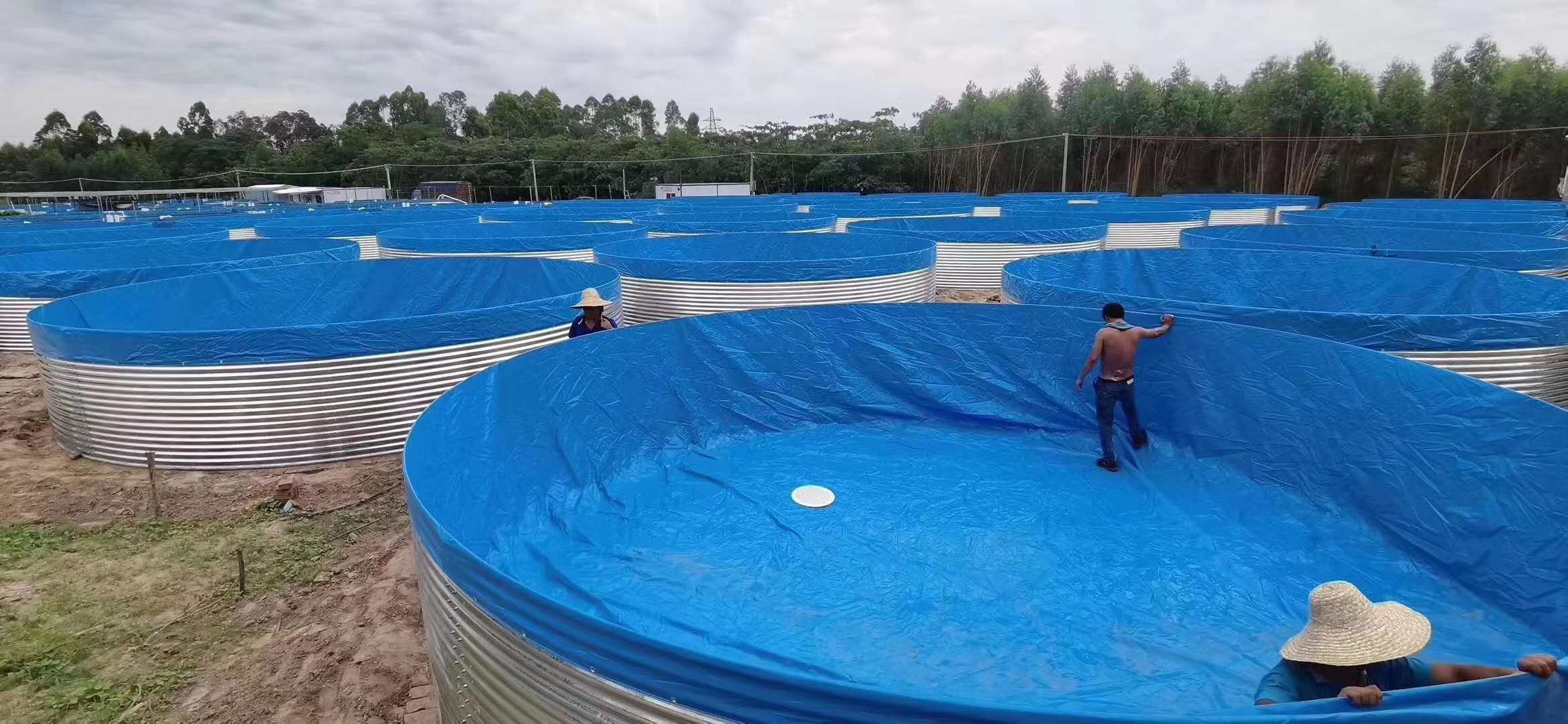 防水布帆布魚池刀刮布鐵桶養魚