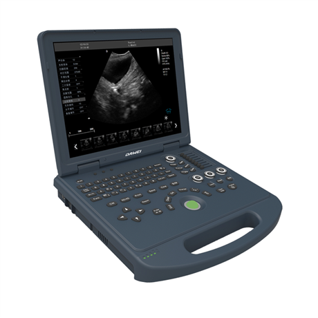 笔记本兽用b超机,手提式兽用b超仪,动物超声诊断仪,犬猫b超机价格
