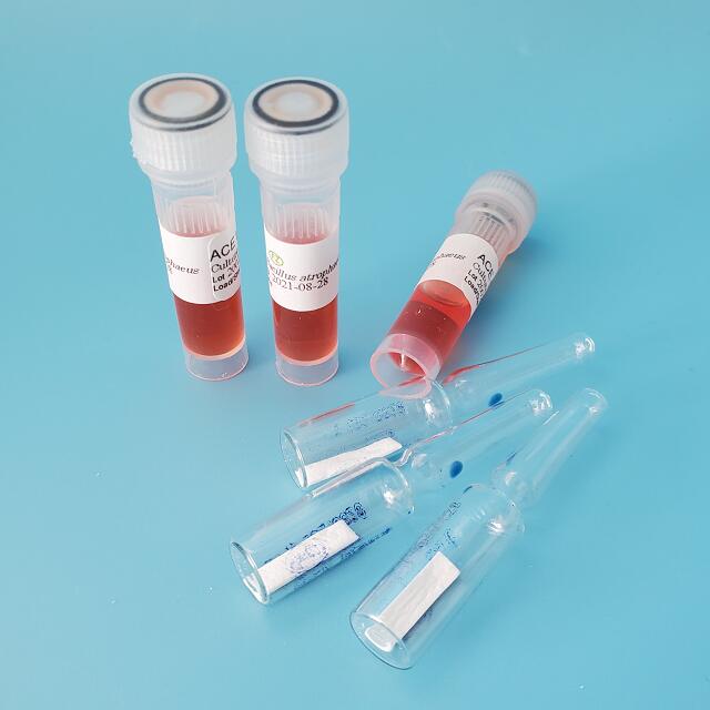 福泽爱斯生物指示剂使用方式