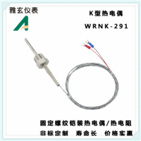 2-PT100温度传感器 K型铠装热电偶WRNK-291WZP-291 固定螺纹热电