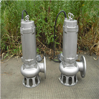 AS潜水排污泵 污水泵定做 耐用污水泵 不锈钢排污泵