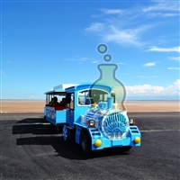 博瑞特电动观光小火车迷你小火车景区观光设备