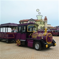 博瑞特仿古观光小火车 旅游景区火车 公园观光设备