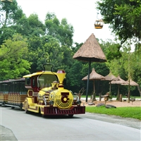 博瑞特儿童小火车景区观光火车儿童游乐设备