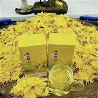 亳州金丝皇菊花苗价格 插纤苗子批发商联系方式