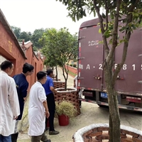 黑山羊养殖,黑山羊的养殖方法,黑山羊是圈养好还是放养好