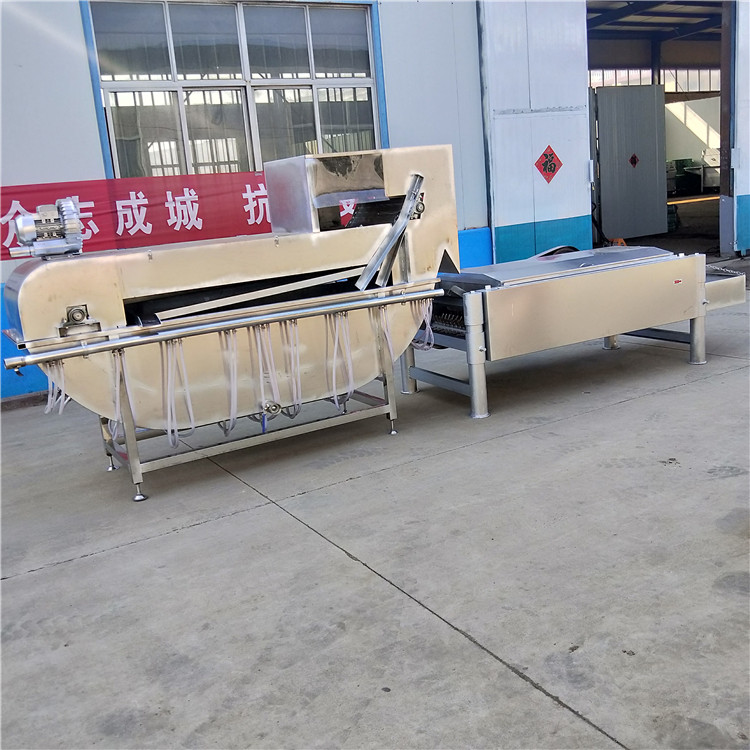 搜了网为您找到359条兔子脱毛机的相关品牌信息