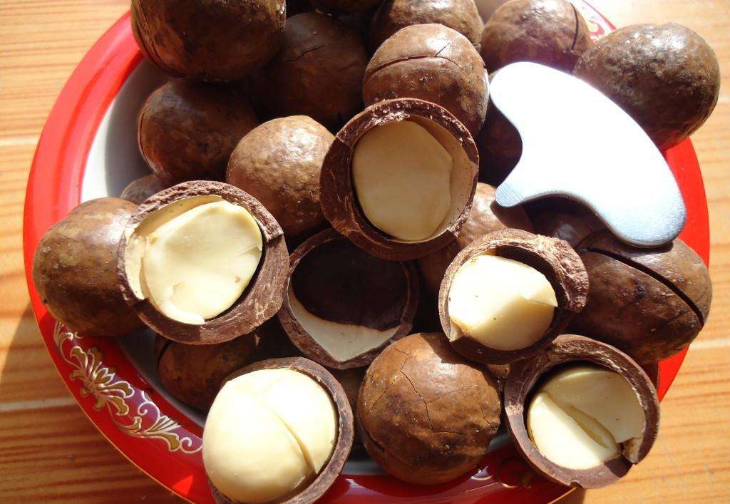 上海食品证下证要多久