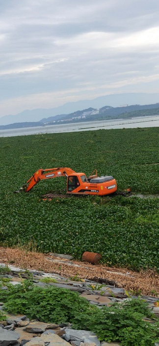 珠海东莞提供水陆挖掘机出租业务