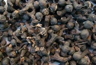 拐棗的價格   中藥材拐棗的功效