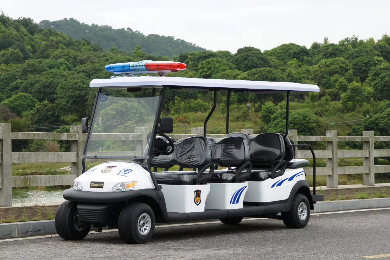 电动观光车街道巡逻车等