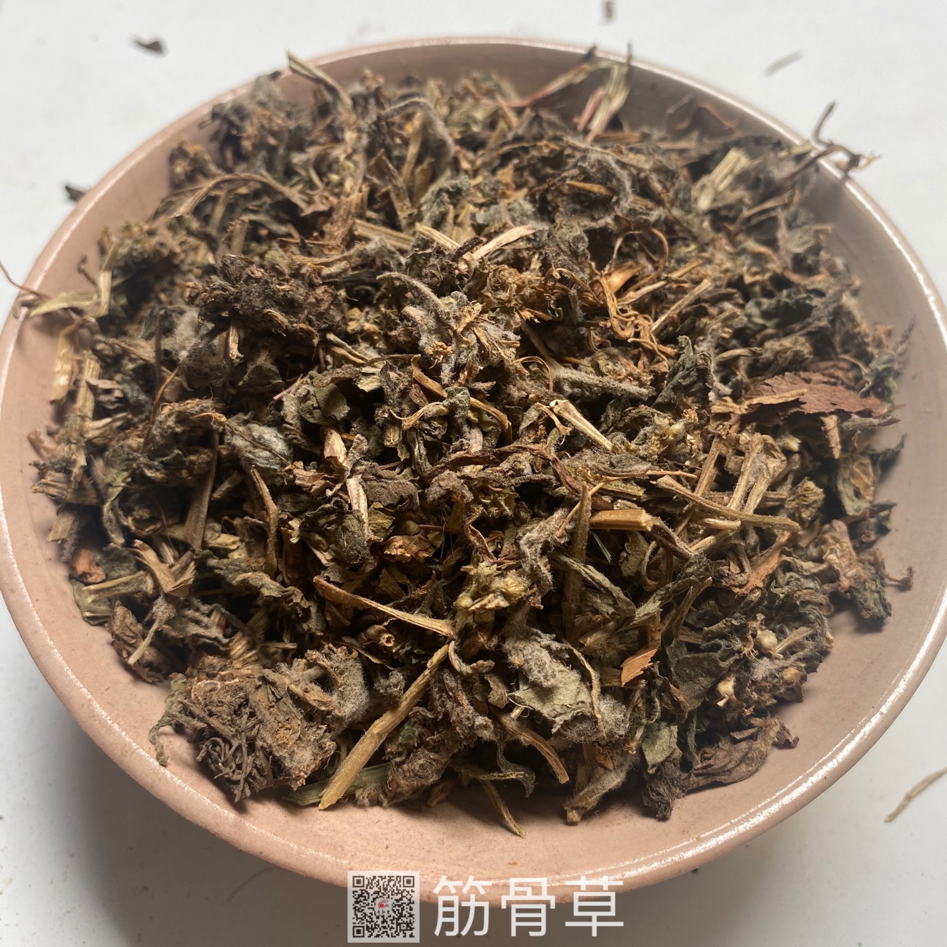 筋骨草(筋骨草的图片)