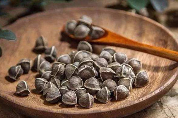辣木籽吃多少合适 辣木籽怎么吃好,辣木籽怎么吃,辣