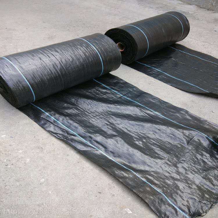 防草布材料全新pp防草布园艺地布价格