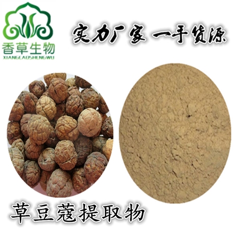 草豆蔻提取物浓缩粉 草蔻仁提取物 食品级豆蔻仁粉提取物