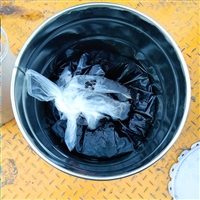 沥青胶泥厂家 厚浆型沥青胶泥 薄浆型沥青胶泥