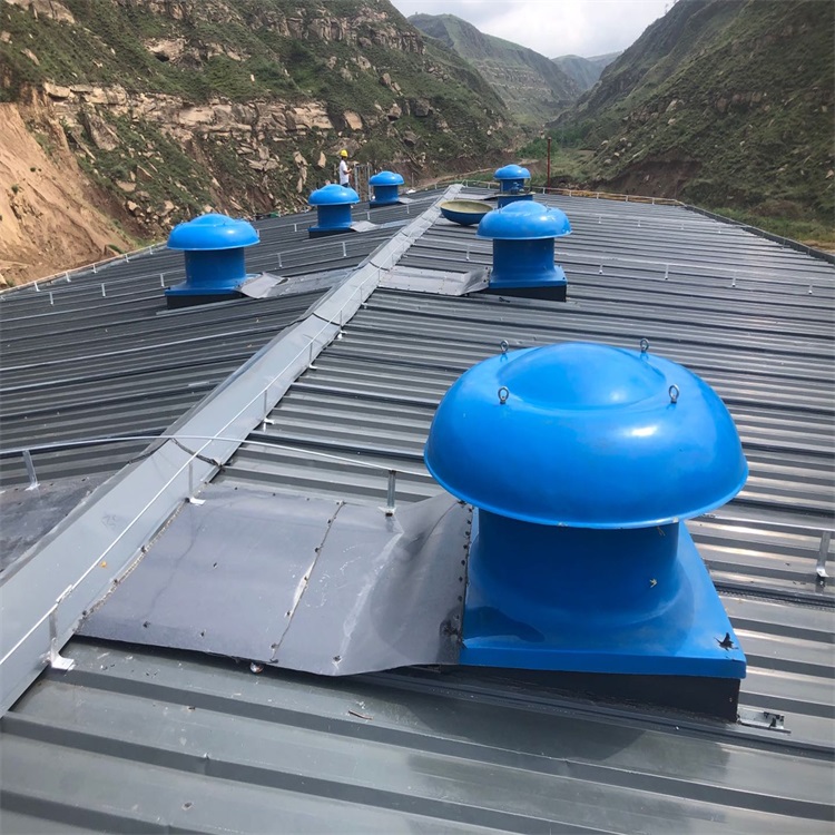 玻璃钢轴流式屋顶风机顺博耐酸碱dwt屋顶风机结实耐用