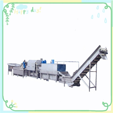 新輕機械  供應1-20噸蔬果清洗流水線