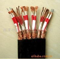 山东泽荣耐高温、防腐抗电磁脉冲控制电缆