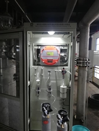 潍坊华分赛瑞 热导式氦气分析仪 在线式气体分析仪厂家