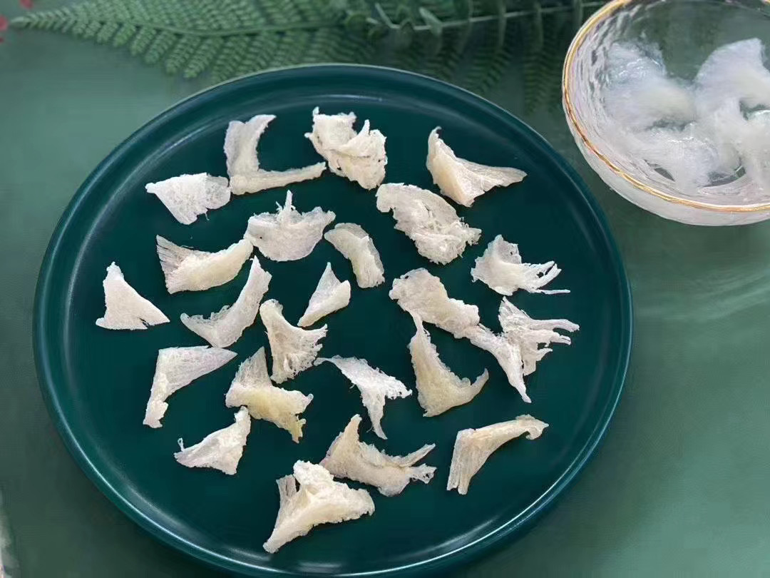 金之塔 印尼燕窝 干货燕窝燕角批发 燕角详细介绍图