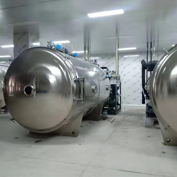 芒果冻干设备 固体冻干机 10平方冻干设备 冻干南瓜粉