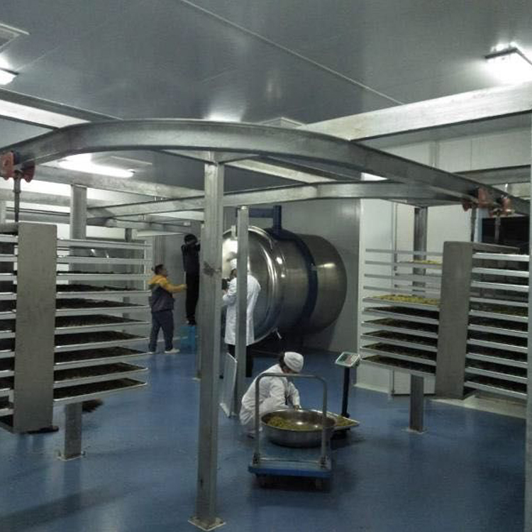 柠檬片冻干国产冻干机冻干机生产流水线