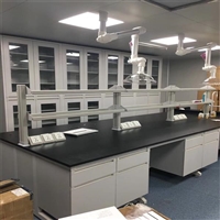 厦门实验台 厦门实验室化验台 全钢钢木中央台