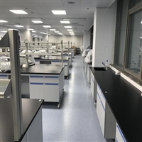 环境监测实验室实验台 土壤质量检测实验台厂家直销