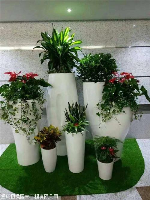 绿植租赁花卉租赁绿植租赁重庆花卉绿植租摆养护园林设计