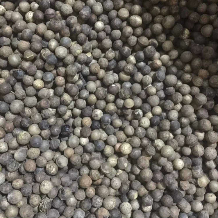 香樟种子 一手种源香樟种子质优价廉 昊天种业