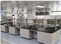 实验室设备 免疫病理实验室实验台 化验台 通风柜