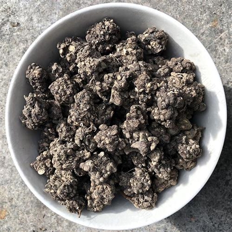 【猫爪草今日报价    猫爪草的功效】价格,厂家,粮食作物种子