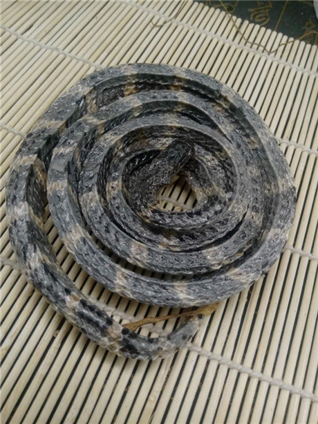 辛夷花的产地   辛夷花的功效