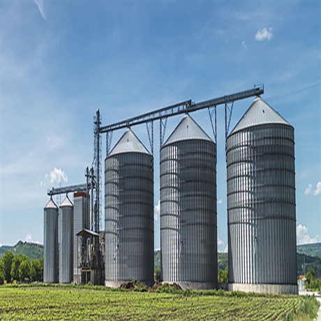 五谷杂粮钢板仓千吨粮仓价格钢板仓工艺流程立式玉米粮仓