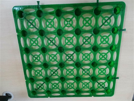 屋顶花园蓄排水板 塑料排水板厂家现货批发