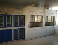 全钢通风柜 辽宁实验室通风柜价格 PP通风橱供应