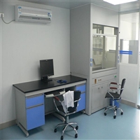 河源实验室通风柜供应商 PP全钢通风橱排风柜