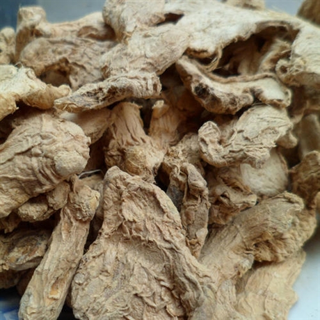 康美中藥城供應干姜白姜  干姜的價格