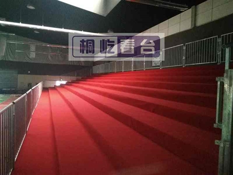 特斯拉推广观众看台销售