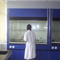 泉州市通风柜价格 全钢通风柜耐酸碱