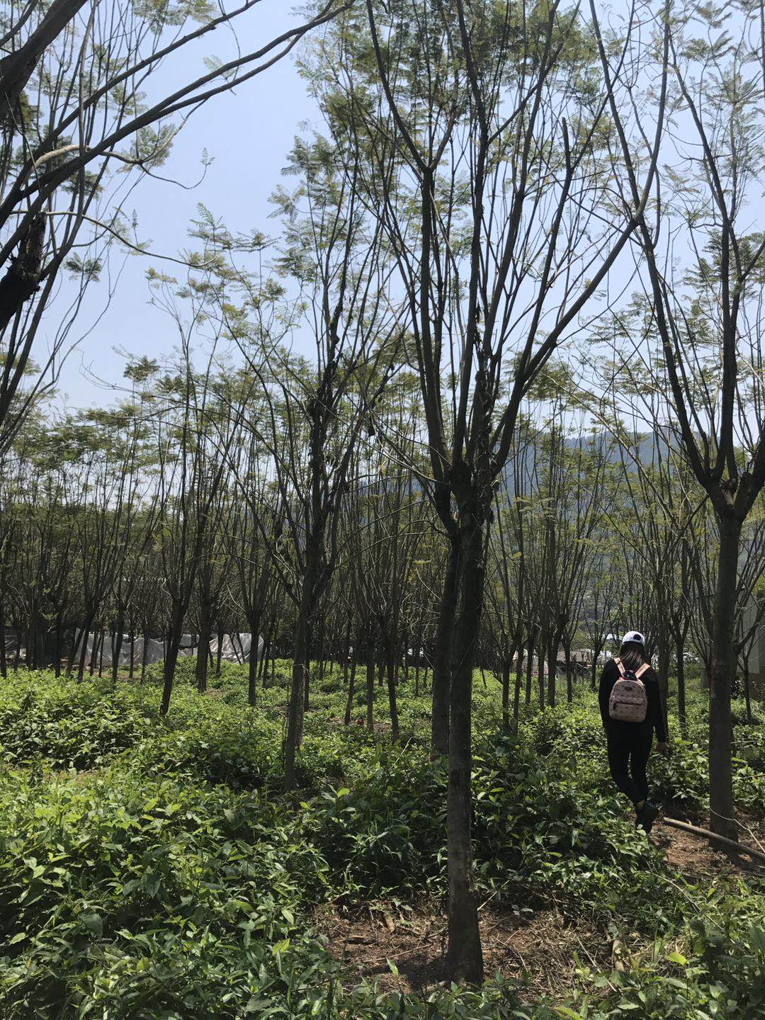地址:福建省漳州市古雷港经济开发区沙西镇高山村瓦窑36号